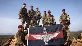 Guards Parachute Platoon  British Army [upl. by Akeemahs]