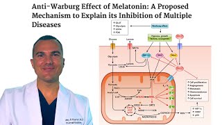 Melatonin KILLS Cancer REVERSES Warburg Effect amp INHIBITS Glucose [upl. by Octave]