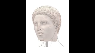 The Face of Hephaestion Artistic Reconstruction [upl. by Gibby885]