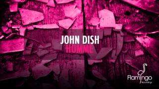 John Dish  Homme Flamingo Recordings [upl. by Normalie]