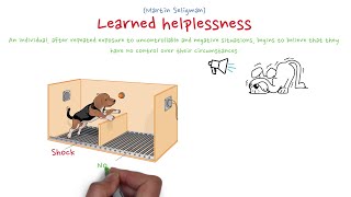 Learned helplessness theory [upl. by Cantu829]