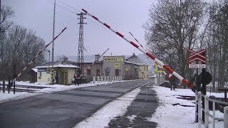 Spoorwegovergang Doudleby nad Orlicí CZ  Railroad crossing  Železniční přejezd [upl. by Rramahs428]