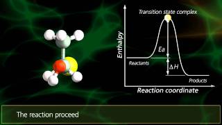 Perkins reaction Name reaction aldehyde and ketone bsc 2nd year organic chemistry [upl. by Sarine]