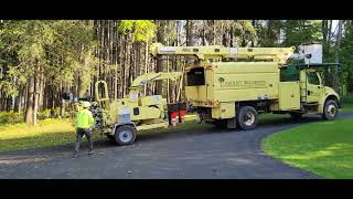 Bartlett Tree Trimming and Cable Installation [upl. by Hares]