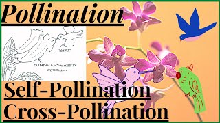 Pollination in Flowering Plants Agents of Pollination Self Pollination and Cross Pollination NEET [upl. by Atnahsa]