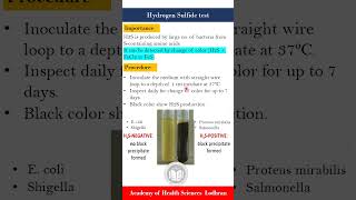 Hydrogen sulfide H2S test  Microbiology  by Imran Yaseen [upl. by Ekal]