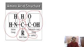 First Year Biology  Chapter  1  Biological molecules  Part 2  Chemical composition of Cell [upl. by Asilam]