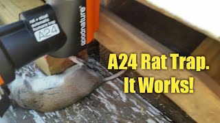 A24 Rat Trap from GoodNature Review [upl. by Aniakudo90]