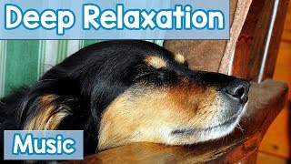 15 Hours of Deep Relaxation Music for Dogs Music to Relax Your Dog Completely and Help with Sleep [upl. by Inan]