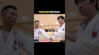 The definition of speed changesThe Kata Movement in Karate [upl. by Ahsinor742]