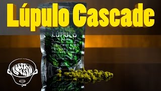 Lúpulo Cascade — Campeão das IPAs [upl. by Ralat]