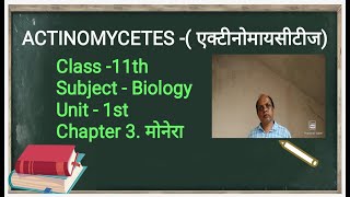 Actinomycetes  Mould Bacteria  In Hindi  Biology Extra [upl. by Saberio]