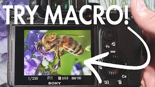 Intro to MACRO Photography TIPS to get you STARTED [upl. by Starling]