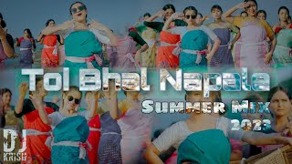 Toi Bhal Napale  Summer Mix  DJ Krish  Assamese New Dj Remix 2023 [upl. by Frankie]