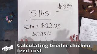 Calculating broiler chicken feed cost  PPP1 S1E5 [upl. by Pen498]