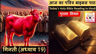 गिनती 19  Numbers 19  आज का पवित्र बाइबल पाठ  Todays Holy Bible Reading  Bible verse in hindi [upl. by Reivazx]