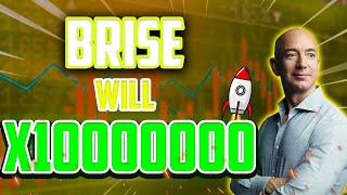 BRISE WILL MAKE YOU RICH OR POOR  BITGERT PRICE PREDICTION 2024 amp MORE [upl. by Jake]