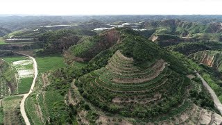 A model of ecological conservation on Loess Plateau  Stories shared by Xi Jinping [upl. by Ayamahs]