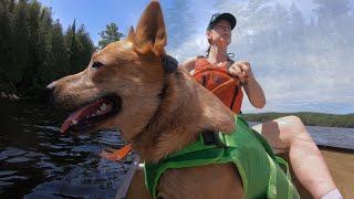 Canisbay Lake Algonquin Provincial Park  Solo Canoe Trip [upl. by Erasme96]