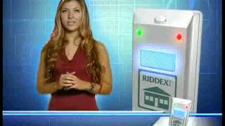 riddex plus [upl. by Iba]