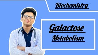 Galactose metabolism biochemistry biochemistry [upl. by Aneet]