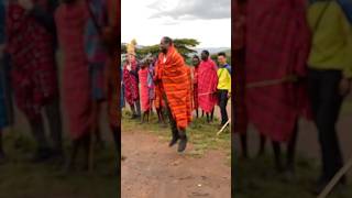 Jumping with the Maasai people🇰🇪 maasaimara maasaivillage kenya africa eastafrica [upl. by Ardeen]