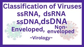 Classification of viruses ssRNAdsRNAssDNAdsDNA Envelopednonenveloped  mnemonics [upl. by Eihctir976]