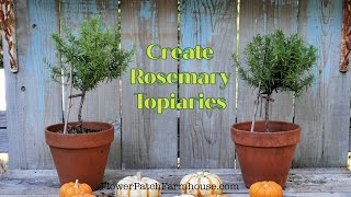 How To Make Easy Rosemary Topiaries super fun [upl. by Ruder293]