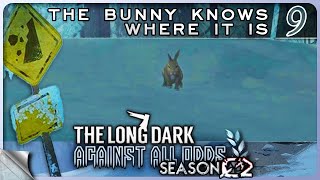 THE LONG DARK — Against All Odds 9 S02 The Bunny Knows Where It Is  Tales Update 5 Stalker 4K [upl. by Joletta369]