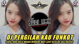 DJ PERGILAH KAU  LARISA FUNKOT TERBARU 2024  DJ CINTA YANG DULU MEKAR BERSEMI FUNKOT  DJ SUDI RMX [upl. by Kerrin]