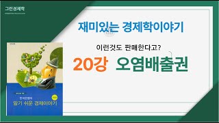 재미있는 경제학이야기 20강 환경문제의 해결방법 오염배출권pollution permits [upl. by Aisiat]