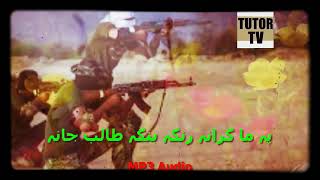 rnga bnga taleb pashto nazam naat tarana nazmona natona song nasheed [upl. by Mark694]