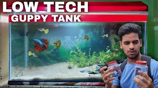 Aquascape Tutorial Guppies  Betta Aquarium  How To Step By Step Planted Tank Guide [upl. by Otsirave]