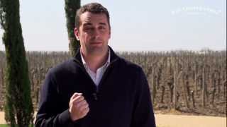 Château Pétrus En Primeur 2011  Olivier Berrouet [upl. by Chatwin]