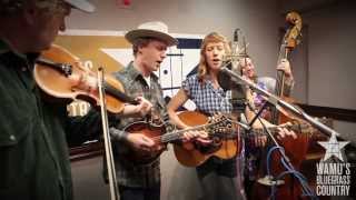 Foghorn Stringband  You Didnt Have To Go Live at WAMUs Bluegrass Country [upl. by Nunes]