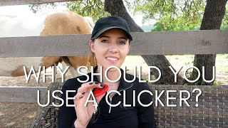 Why Should You Use a Clicker The Willing Equine Academy inside look [upl. by Erastus]