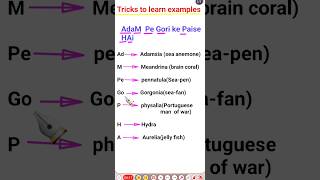 cnidarians example Animal kingdom class 11  trick to learn examples of coelenterata [upl. by Erinn]