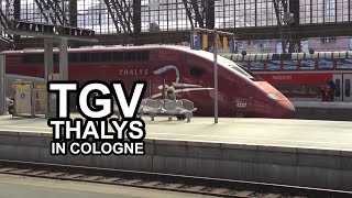 TGV THALYS HighSpeedTrain arriving in Köln Cologne and leaving again later [upl. by Palila]