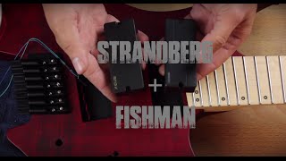 Guitar Pickups  Fishman Fluence into Strandberg Boden OS7 [upl. by Kcirb]