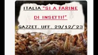 Italia quotSI a Farine DI INSETTIquot Gazzetta Ufficiale 291223 [upl. by Ecurb714]