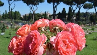 Il candelabro nascosto nel Roseto Comunale di Roma la curiosità che in pochi conoscono [upl. by Yalahs]