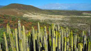 Montañas de Ifara y Los Riscos Granadilla de Abona [upl. by Butch]