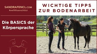 👉🏼 Wichtige Tipps in der Bodenarbeit  Körpersprache Basics 🐎✨ [upl. by Stelu]