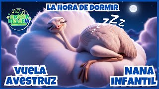 🪶Vuela Avestruz😴  Nana para dormir a tu bebé  La Hora de Dormir [upl. by Phylys]