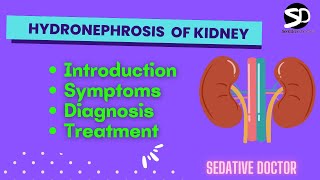 Hydronephrosis  Pelvicalyceal dilation  Treatment and Symptoms Sedative Doctor kidney [upl. by Einafpets]