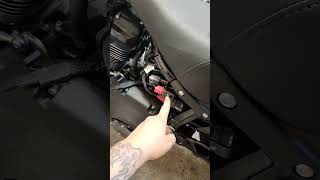 Lowrider ST Creamin Eagle Pro Street Tuner Install [upl. by Nyrol]