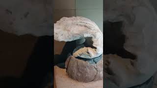 volcanic stone formation volcanic jiju stonemuseum shorts stone [upl. by Ioved]