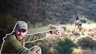 Chasing Arizona’s GIANT Muleys [upl. by Lodhia676]