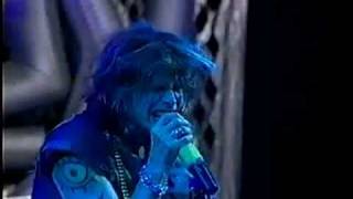 Aerosmith live  Orlando 2001 full proshot DVD [upl. by Carlynne]