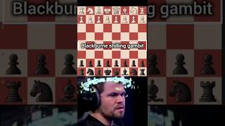 Blackburne shilling Gambit 😈 viewsviral chessstrategy chesstraps [upl. by Yssej]